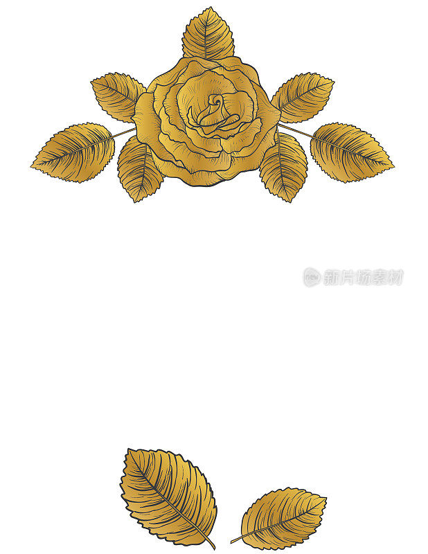 Botanical Drawing Of A Rose In Gold And Black